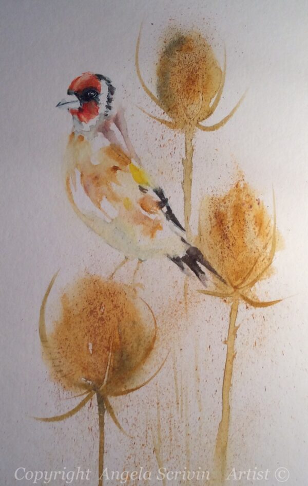 Goldfinch on Teasels