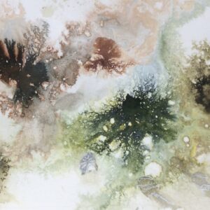 Seaweed