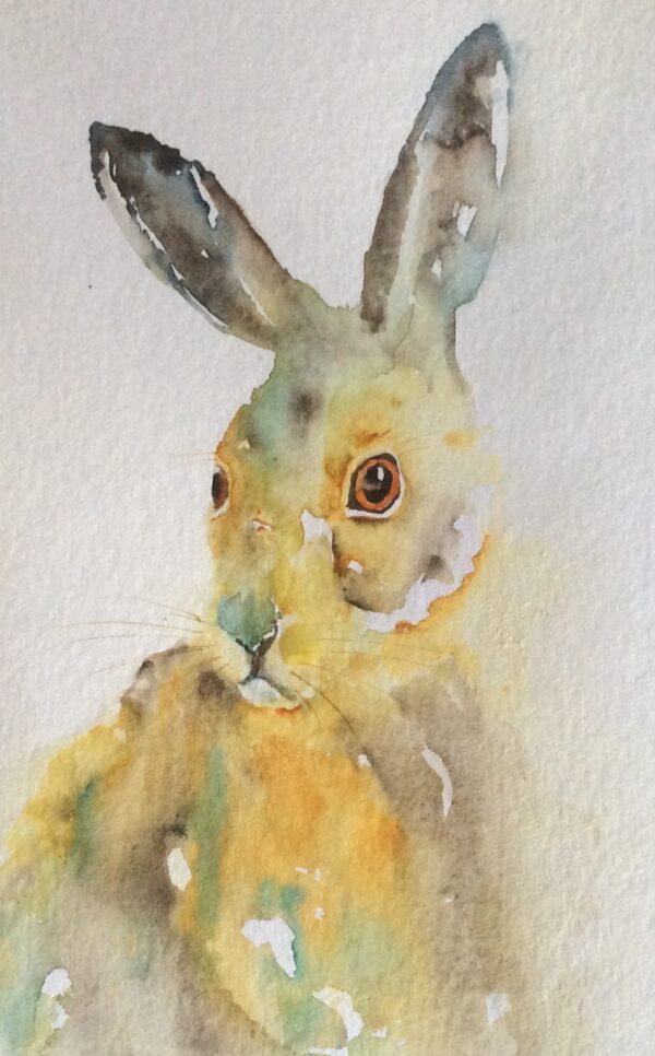 Hare "Should I Stay or Should I Go"