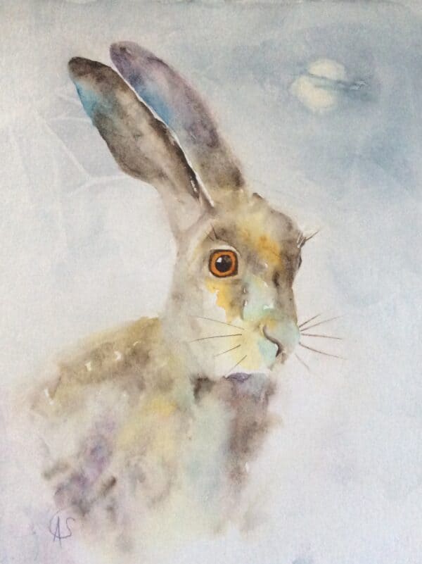 Midnight Hare