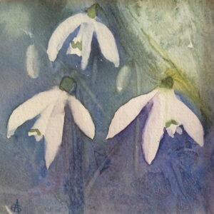 Snowdrop 3