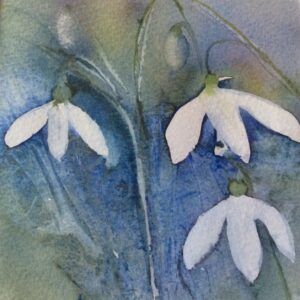 Snowdrop 1
