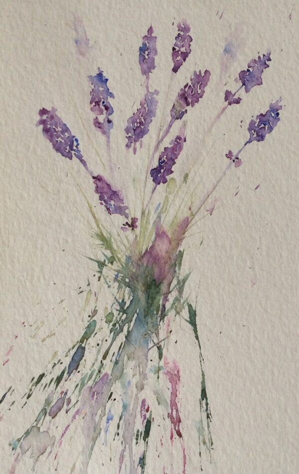 Lavender