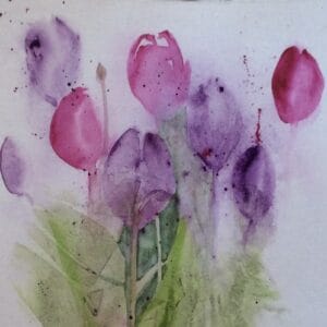 Tulip Fiesta
