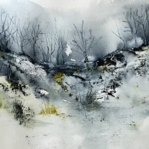 Where Shadows Settle